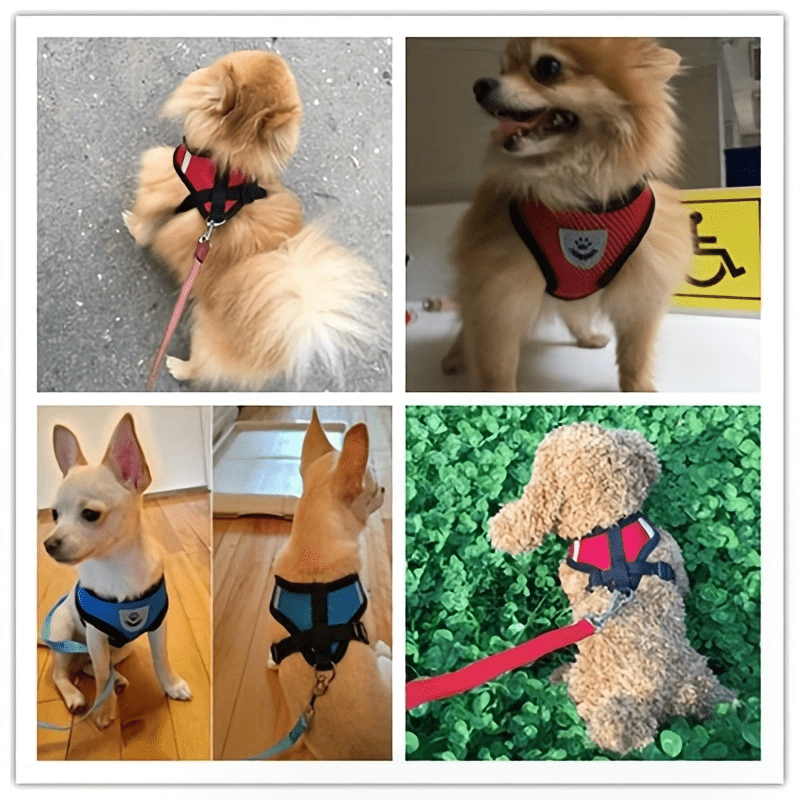 Reflective Pet Harness And Leash Set For Dogs And Cats, Adjustable Puppy Cat Vest Harness With Soft Mesh
