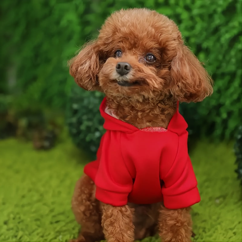 Pet Dog Coat, Small Size, Teddy Bear Pattern, Fleece Lined, Water-Resistant, Winter And Spring Wear, Machine Washable, For Small And Tiny Dogs