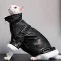Thickened Coat Cat Apparel Sphynx Outfit