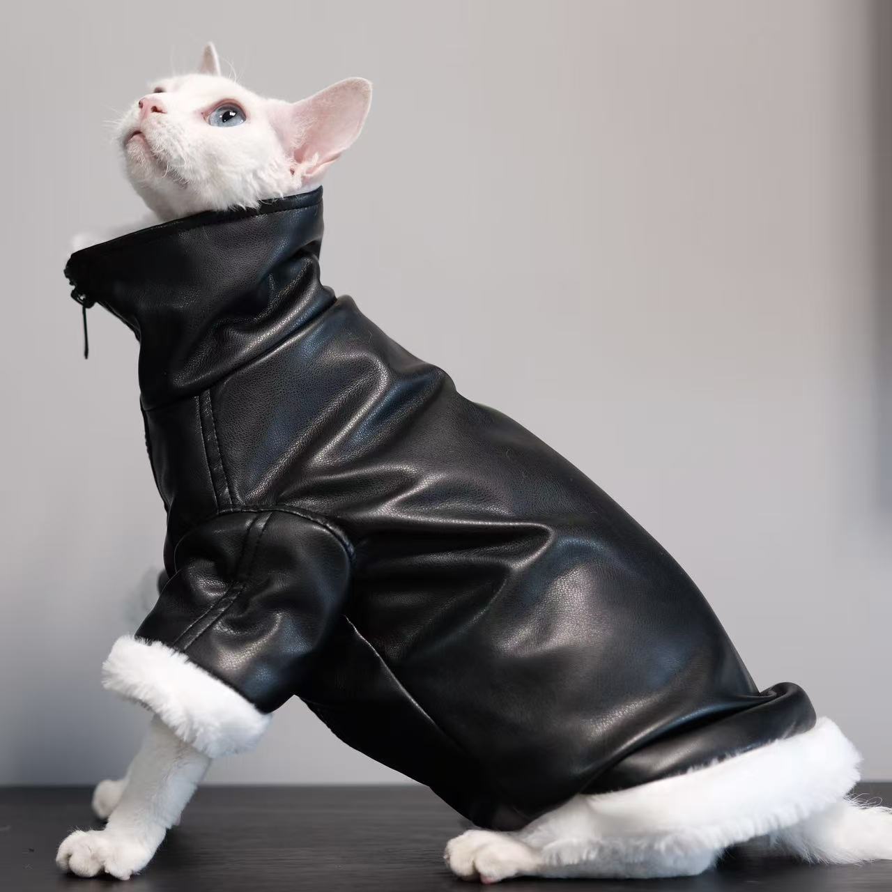 Thickened Coat Cat Apparel Sphynx Outfit