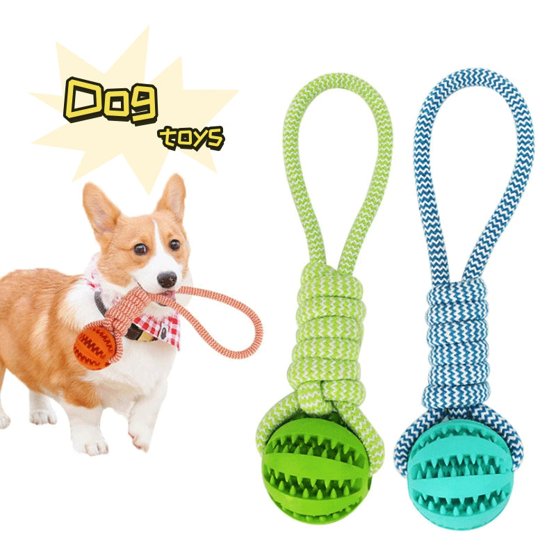TPR & Cotton Rope Dog Chew Ball – Bite-Resistant Dental Toy | 25cm | Blue, Orange & Green