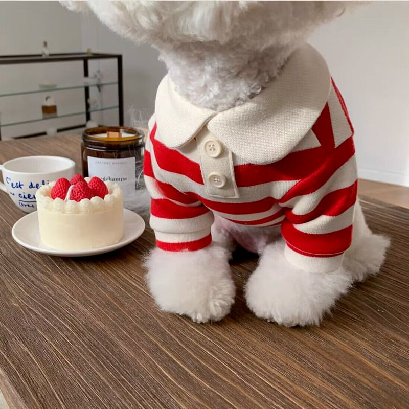 Colour Striped Doggy Luxe Shirt - Blue, Red OR Pink (All sizes)