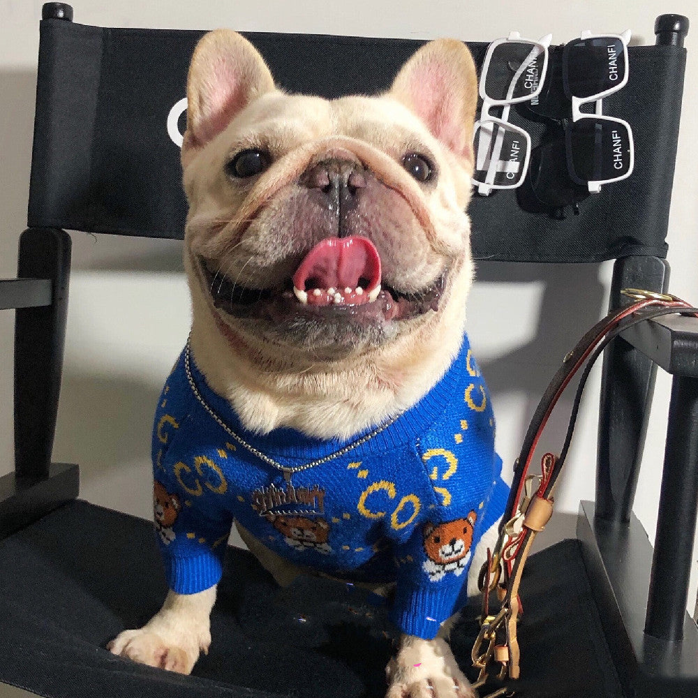 Blue Bear Gucci Style Print Dog Sweater - Cute Pet Fashion