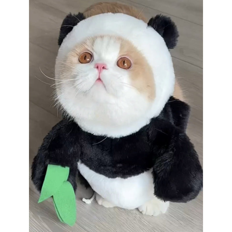 Funny Rabbit & Panda Pet Costume with Leash - Carrot & Bamboo Designs