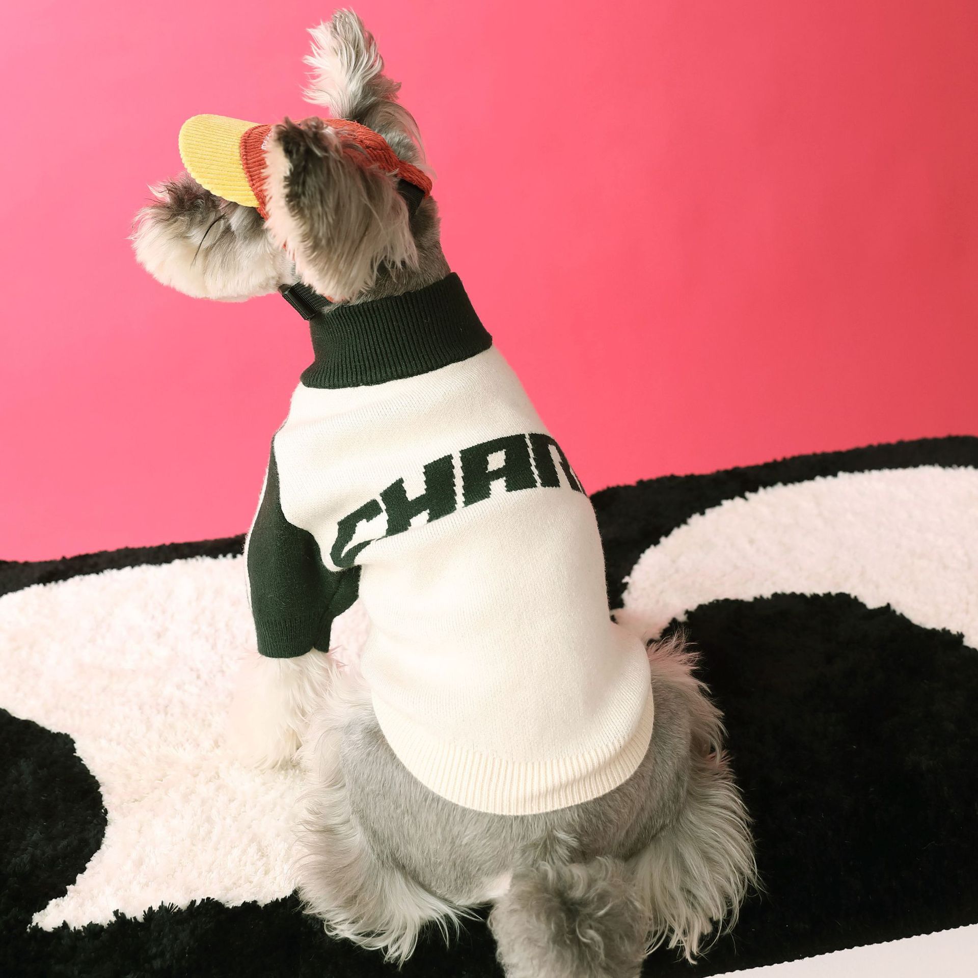 Sports Wool Dog Cardigan - Casual Style Pet Clothing