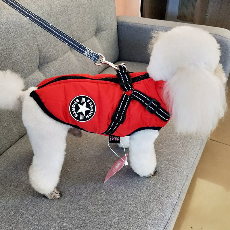 Designer Waterproof Dog Coat