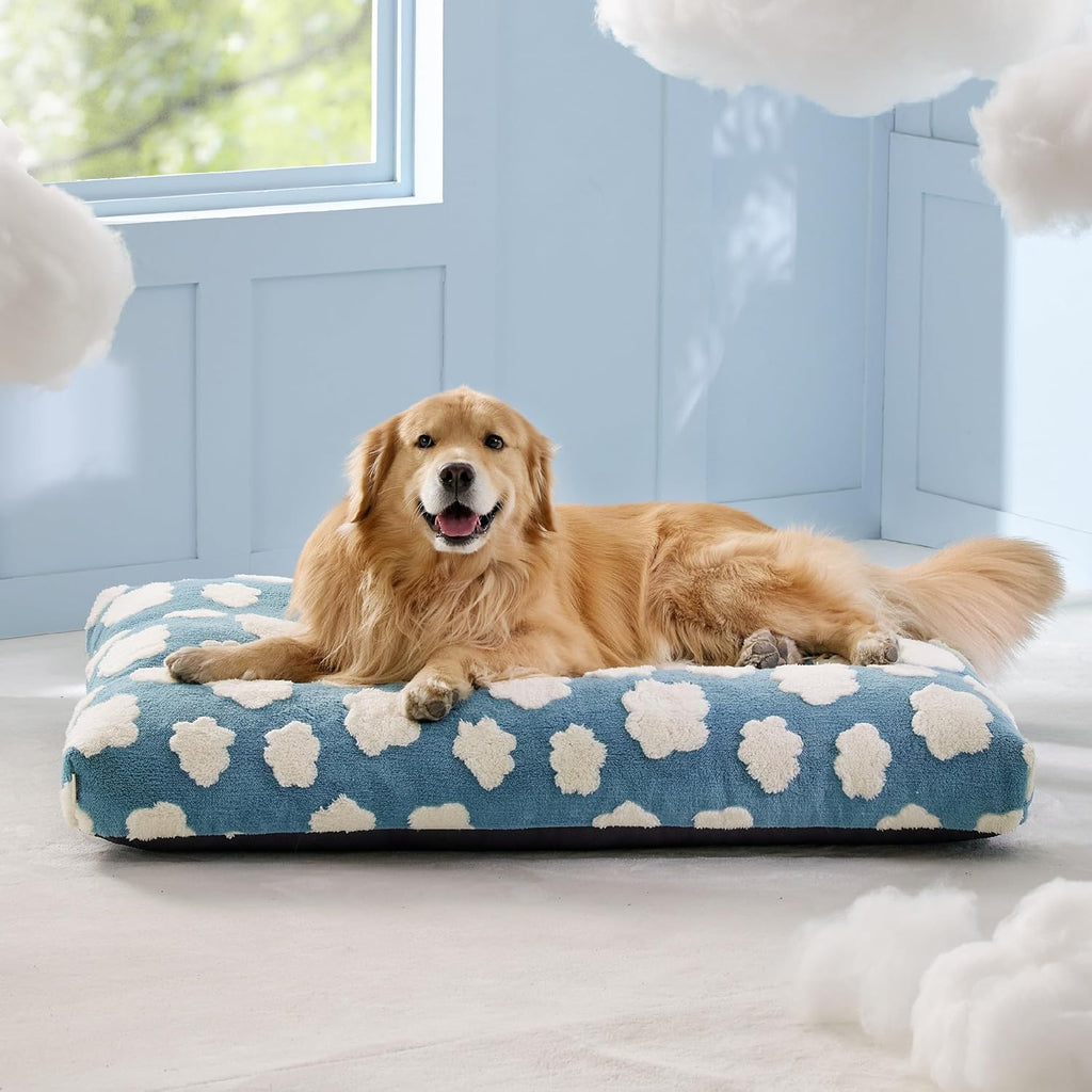 Themed Foam Dog Bed with Removable Washable Cover (Blue/Green    Flowers/Clouds)