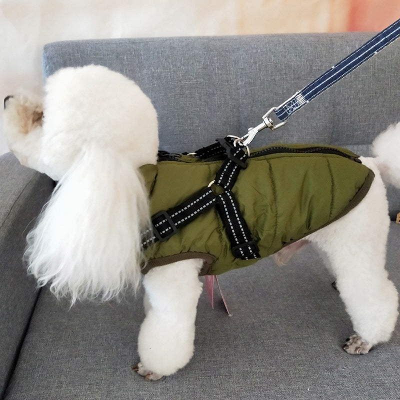 Designer Waterproof Dog Coat