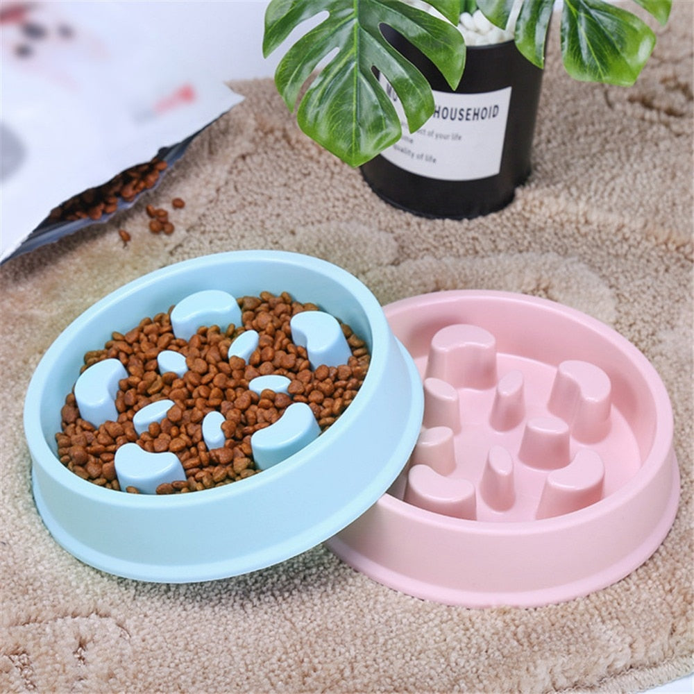 Anti-Choke Slow Feeder Puzzle Bowl for Dogs & Cats | Blue, Pink & Green