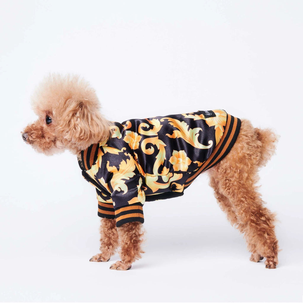 Golden Luxury Dog Coat