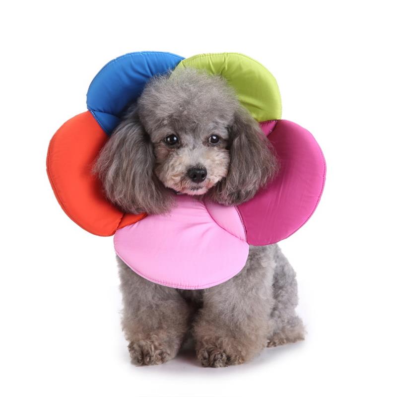 PetFun Recovery Collar - Comfortable & Fun E-Collar Alternative