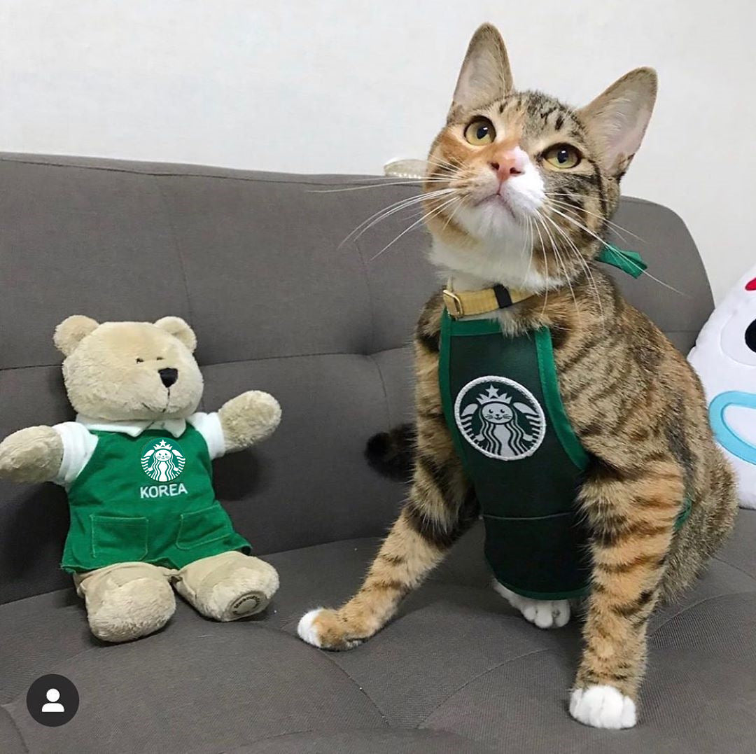 Barista Star Bib Apron Handknitted - Cats & Dogs