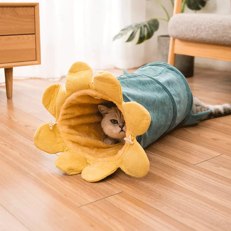 Novelty Fruit Cat Hammock | Cosy Corner Nest for Cats