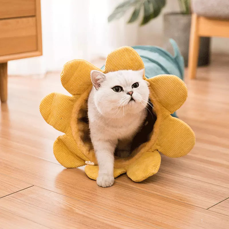 Novelty Fruit Cat Hammock | Cosy Corner Nest for Cats