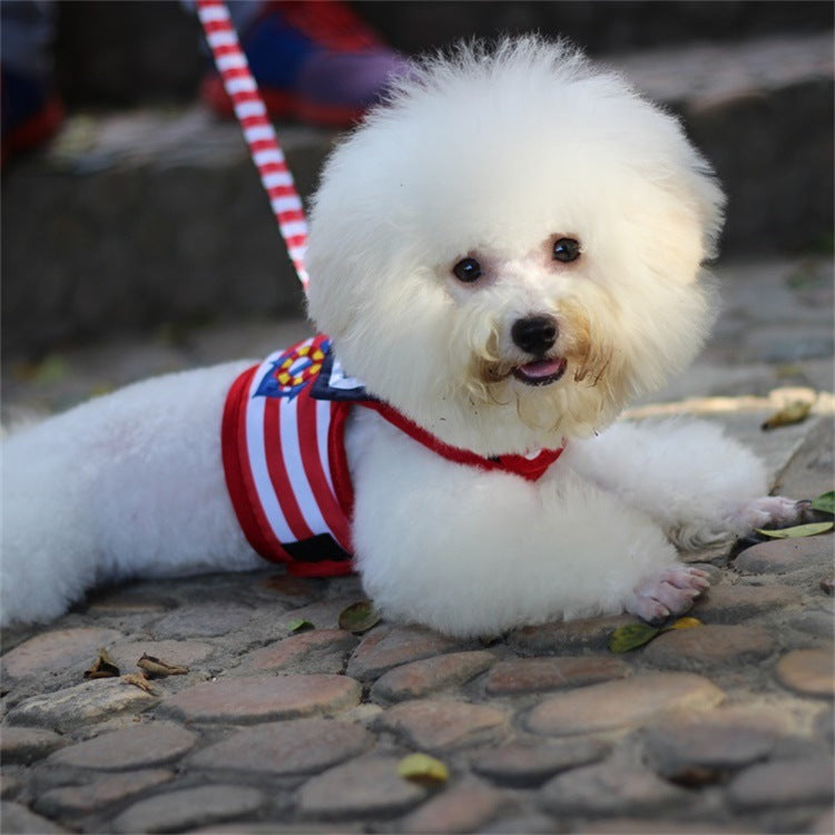 BellyRub VIP Dog Fashion Harness & Lead Set – Chest Strap | Blue & Red | XS–XL