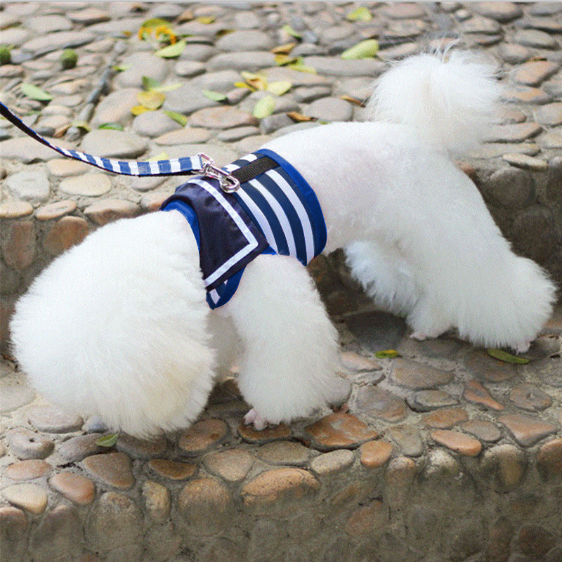 BellyRub VIP Dog Fashion Harness & Lead Set – Chest Strap | Blue & Red | XS–XL