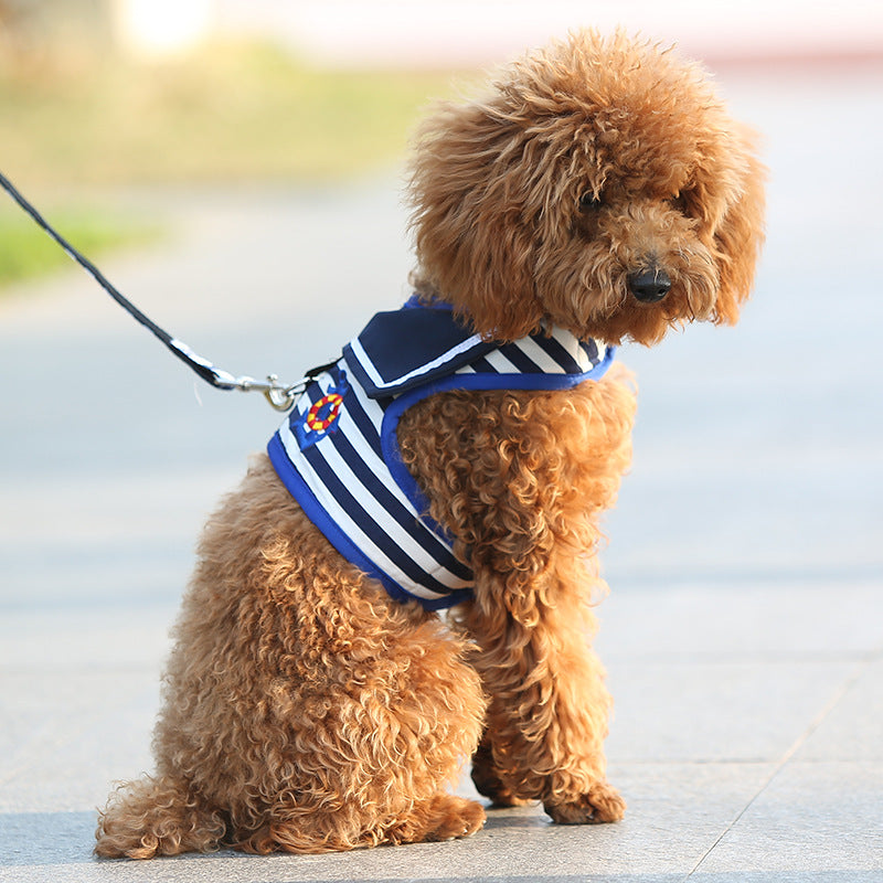 BellyRub VIP Dog Fashion Harness & Lead Set – Chest Strap | Blue & Red | XS–XL