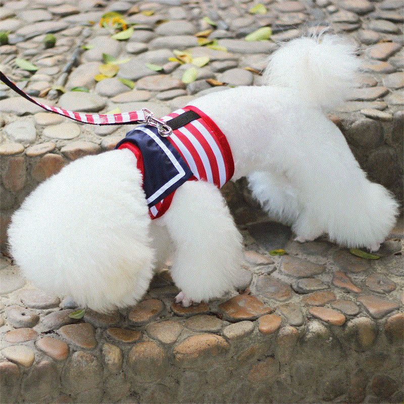 BellyRub VIP Dog Fashion Harness & Lead Set – Chest Strap | Blue & Red | XS–XL
