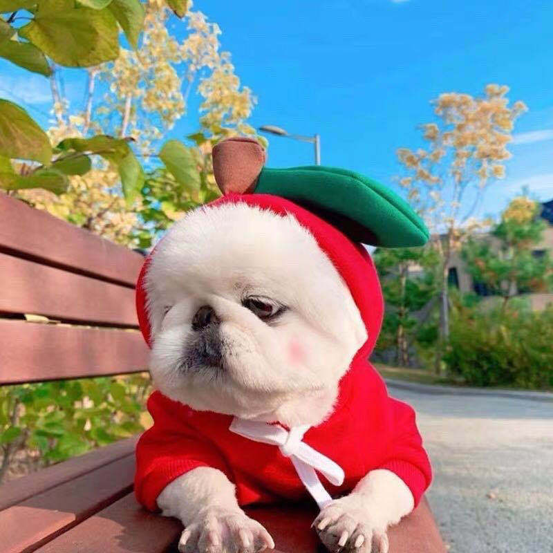 Cute Fruit Print Dog Hoodie - Warm Fleece Winter Coat