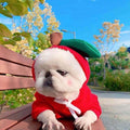 Cute Fruit Print Dog Hoodie - Warm Fleece Winter Coat
