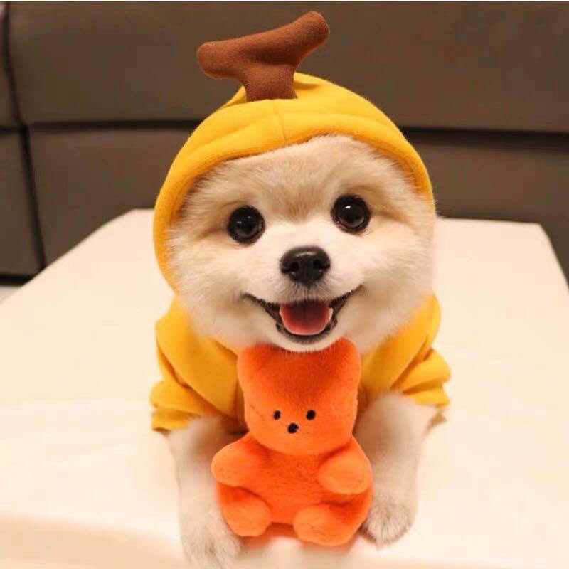 Cute Fruit Print Dog Hoodie - Warm Fleece Winter Coat