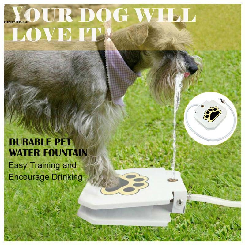 Paw-Activated Outdoor Dog Water Fountain – Hose-Connected | Iron, Stainless Steel & ABS | UK & US Fittings