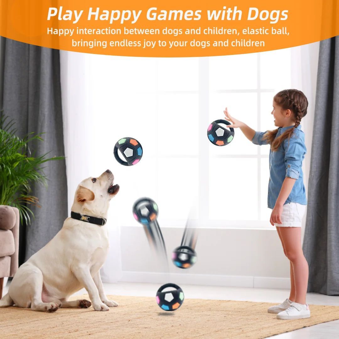 Crazy Ball Squeaky Dog Toy - Durable Teething & Training Toy for Medium to Large Dogs