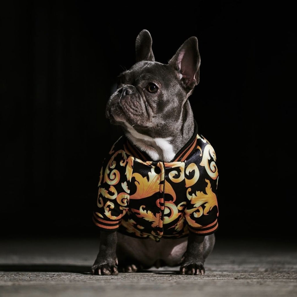 Golden Luxury Dog Coat
