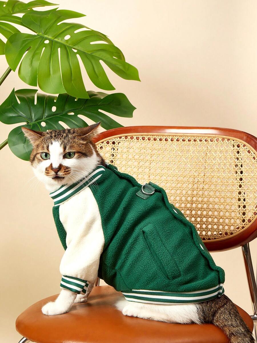 //img.ltwebstatic.com/v4/j/pi/2025/12/17/01/176594111731fd090909a3f786f5542e9d6c1b8055_thumbnail_900x.webp