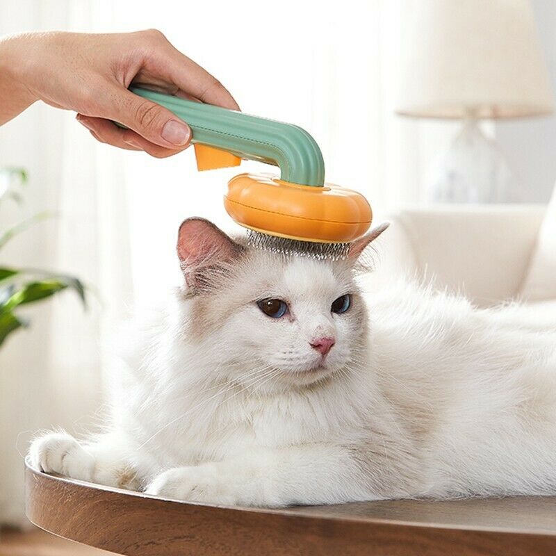 Pumpkin Self-Cleaning Slicker Grooming Brush for Dogs, Cats & Rabbits