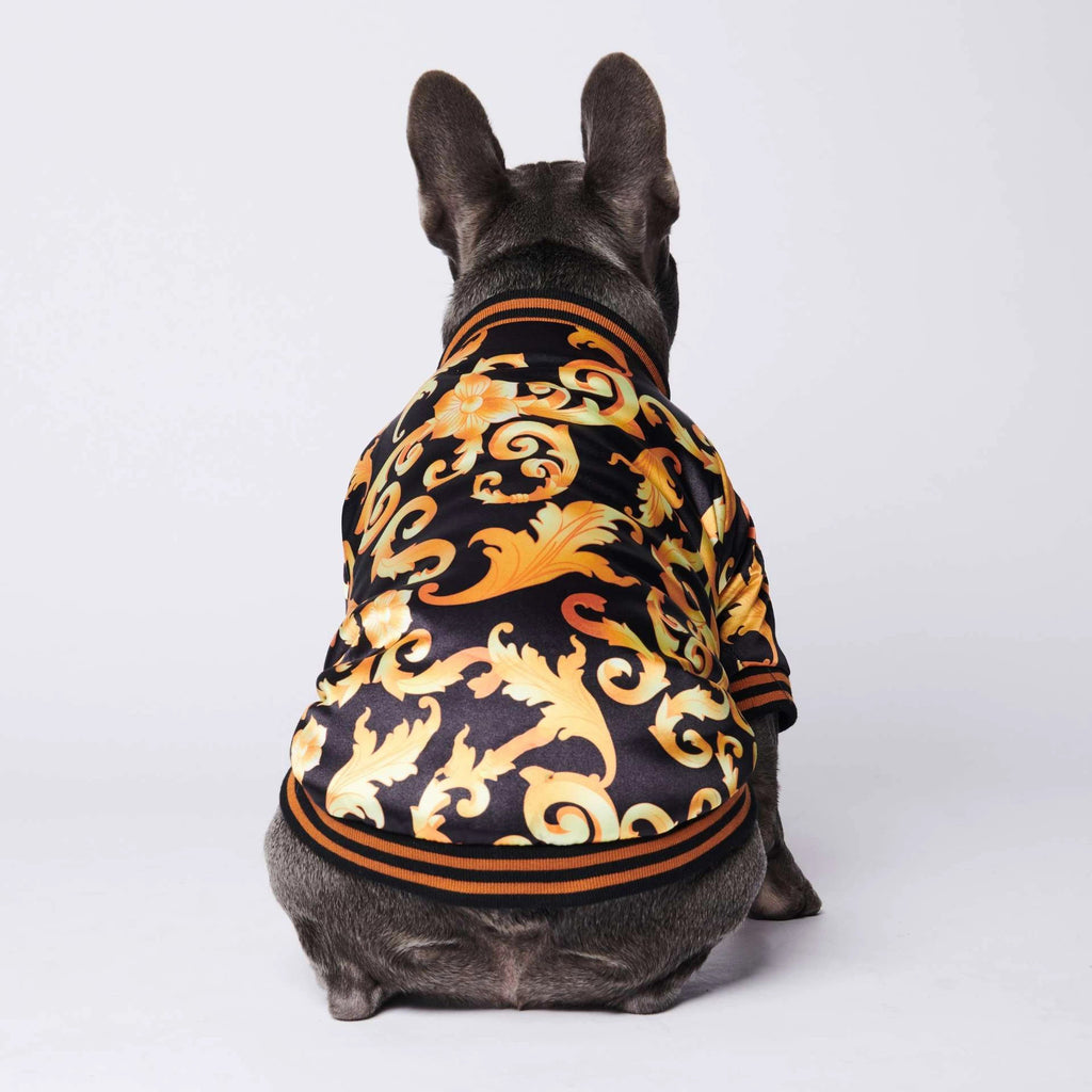 Golden Luxury Dog Coat