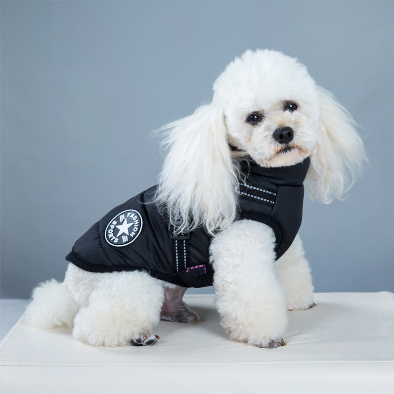 Designer Waterproof Dog Coat