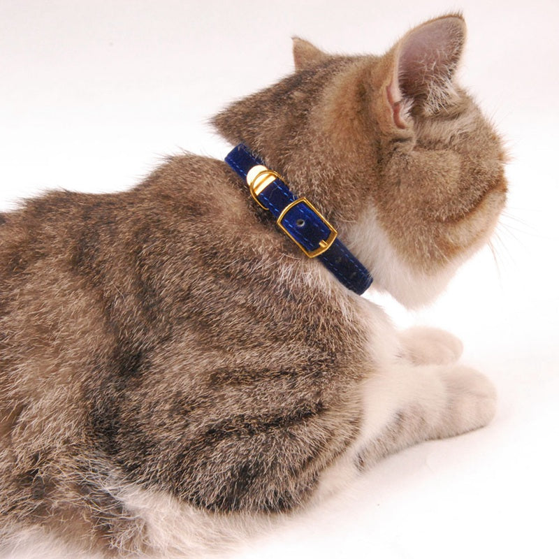 Flocked Velvet Cat Collar | Pink, Red, Black & Blue