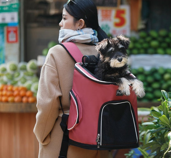 PetsFit Luxury Pet Carrier Backpack | Oxford Cloth | Cats & Dogs up to 7.5 kg