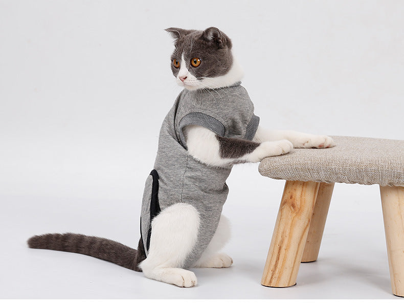 Post-Surgery Pet Recovery Suit - Anti-Lick Wound Protection for Dogs & Cats