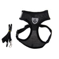 Mesh Dog Harness & Lead Set | Breathable No-Pull Design