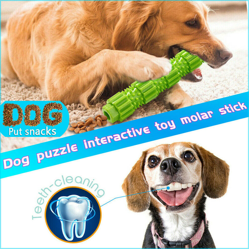 Rubber Treat Dispensing Dog Chew Toy - Teeth Cleaning & Squeaky