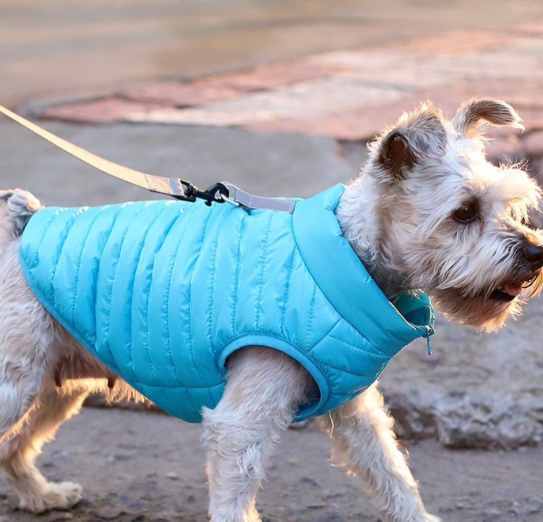 Full Zip Nylon Dog Jacket - Lightweight Autumn & Winter Coat (All sizes + 5 Colours)