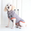 Vintage Twist Dog Sweater | Cosy Knit Style for All Breeds