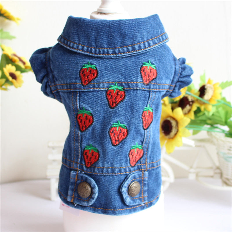 Designer Denim Dogwear