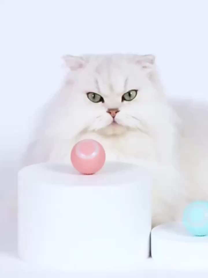 Cat Interactive Ball Smart Cat Toys Indoor Automatic Rolling Magic Ball Electronic Interactive Cat Toy Cat Game Accessories