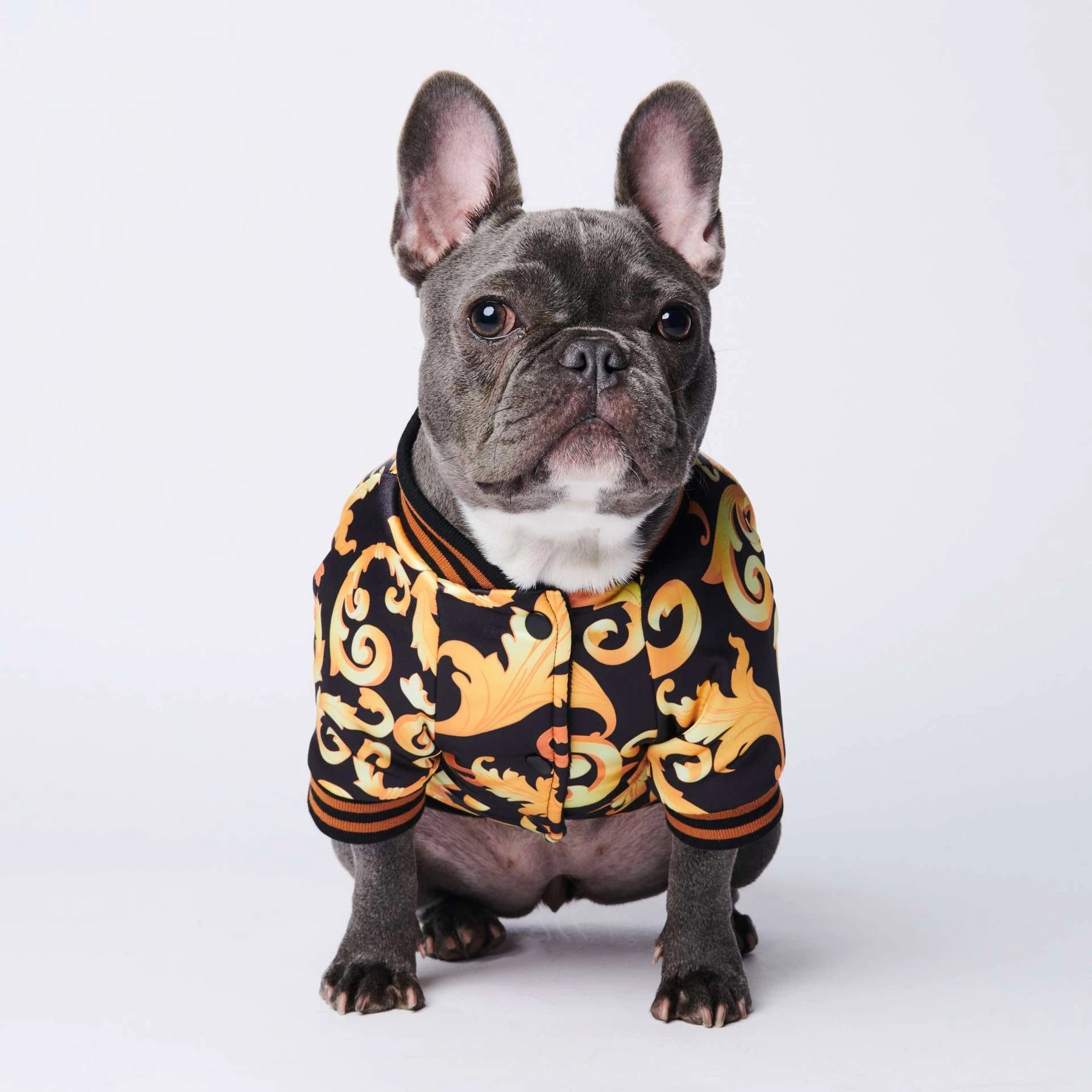 Golden Luxury Dog Coat