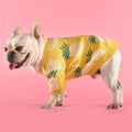 Pineapple Print Cotton Dog Sweater - Fun Summer-Inspired Style