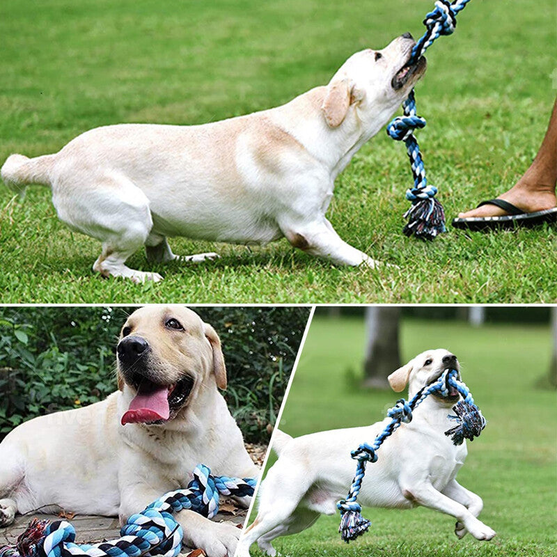 XXL Indestructible Cotton Rope Dog Toy – 5-Knot Tug & Chew Toy for Large Dogs | 36 Inch | Multicolour & Blue