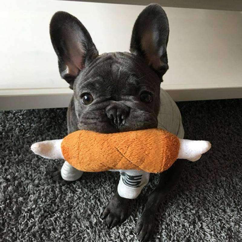 Plush Chicken Leg & Bone Squeaky Dog Molar Toy