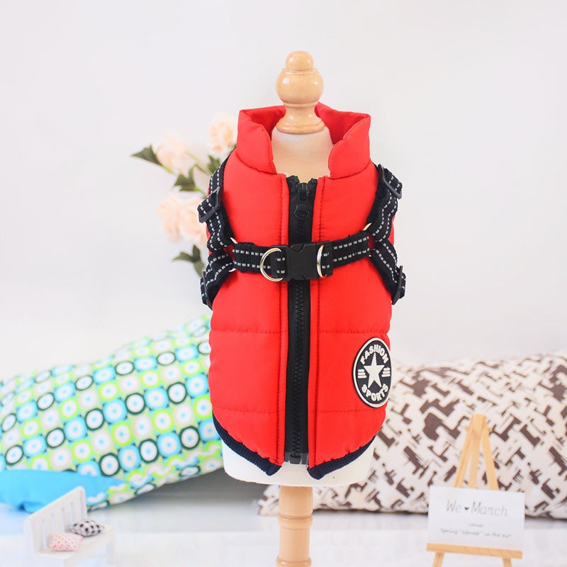 Designer Waterproof Dog Coat