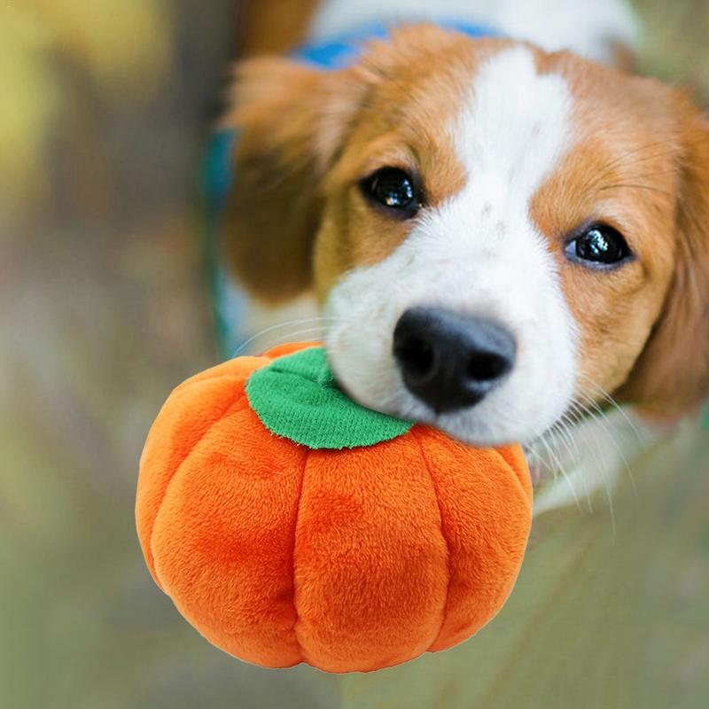 Fruit & Cartoon Plush Squeaky Pet Toy Set - 15 Designs