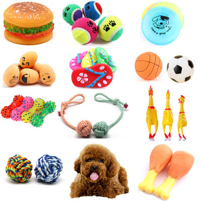 Novelty Vinyl Squeaky Dog Toy Ball - 5 Fun Designs