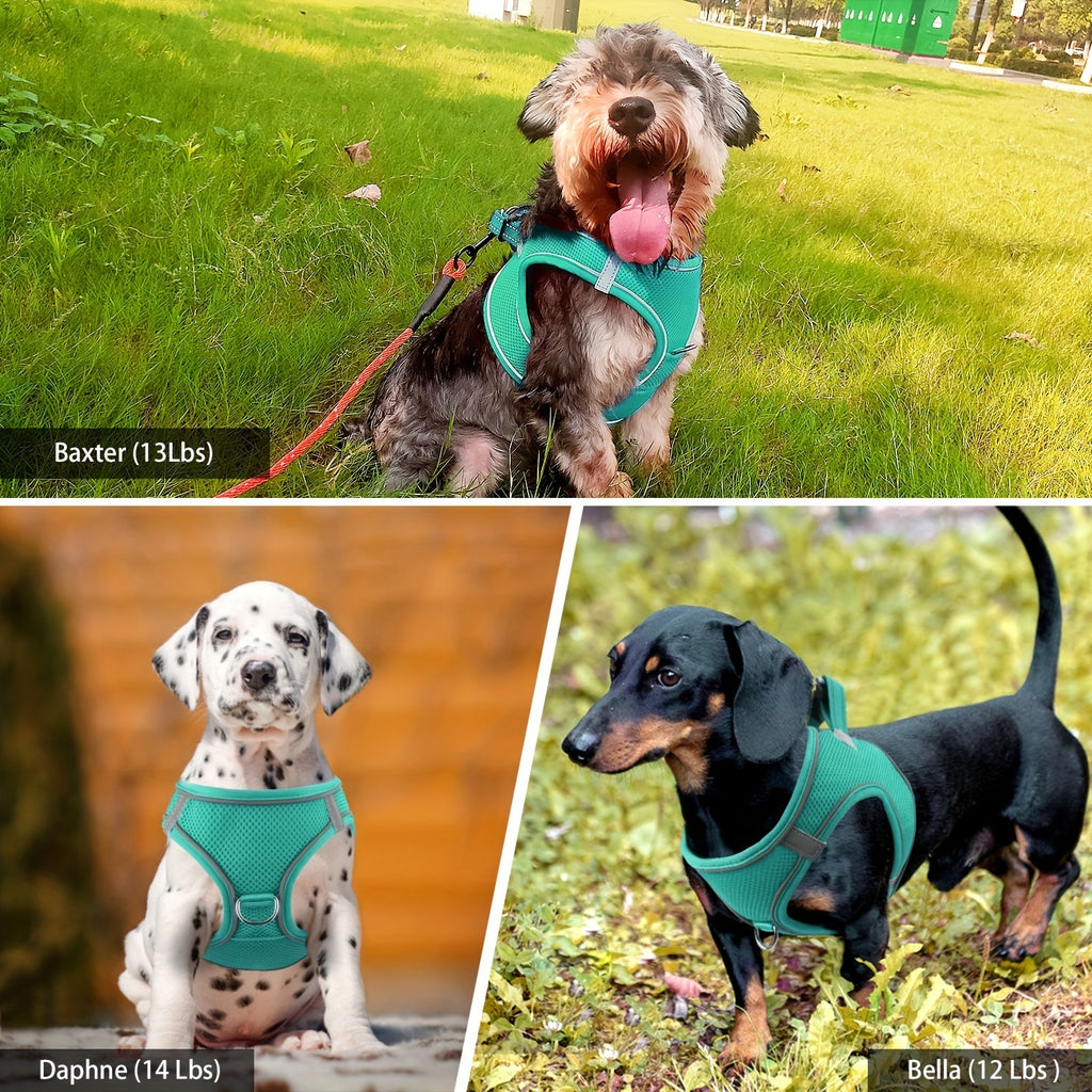 Joytale Step in Dog Harness and leash Set,Reflective Soft Padded Nylon Leash,Breathable Mesh Vest Harness and Leash for Small and Medium Dogs
