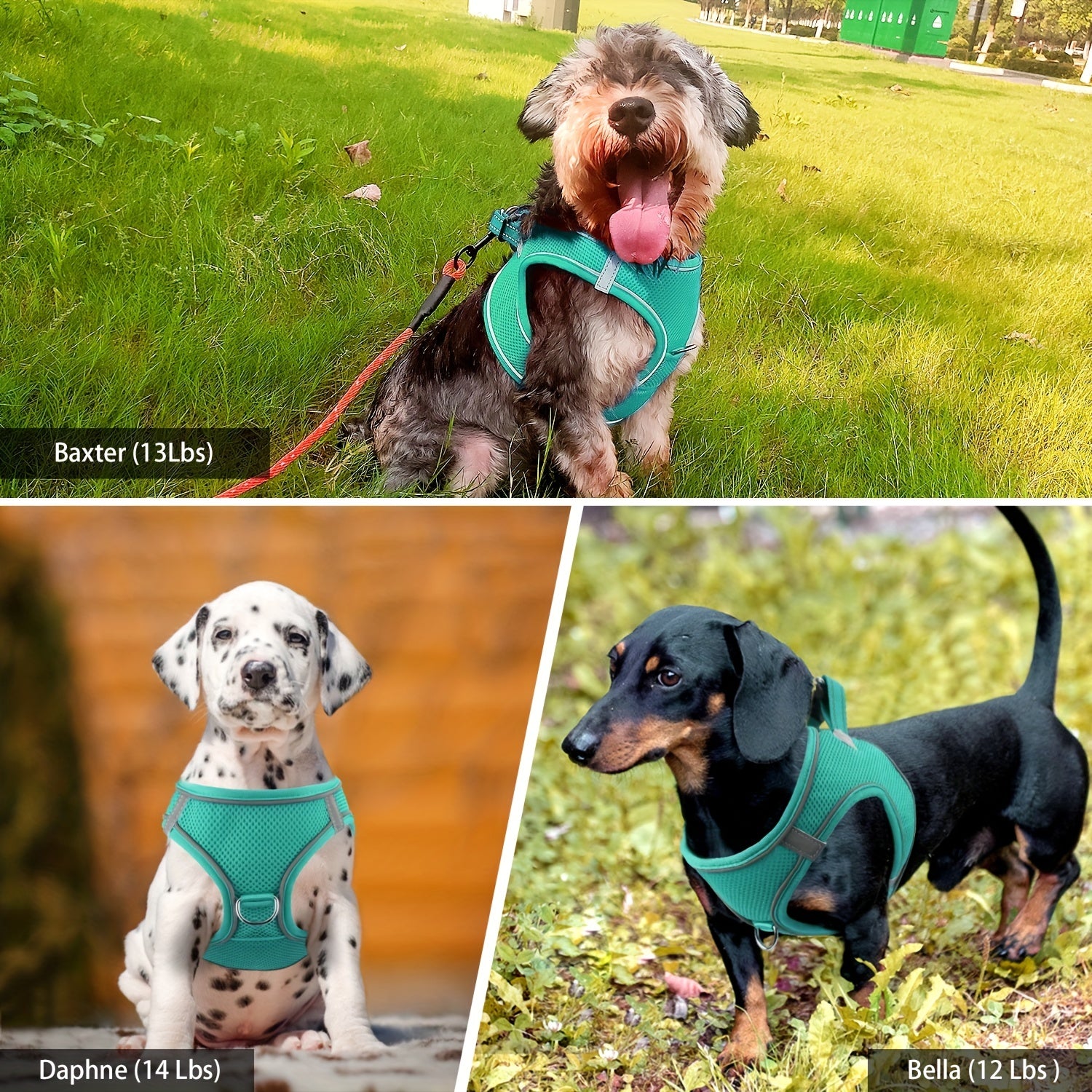 Joytale Step in Dog Harness and leash Set,Reflective Soft Padded Nylon Leash,Breathable Mesh Vest Harness and Leash for Small and Medium Dogs